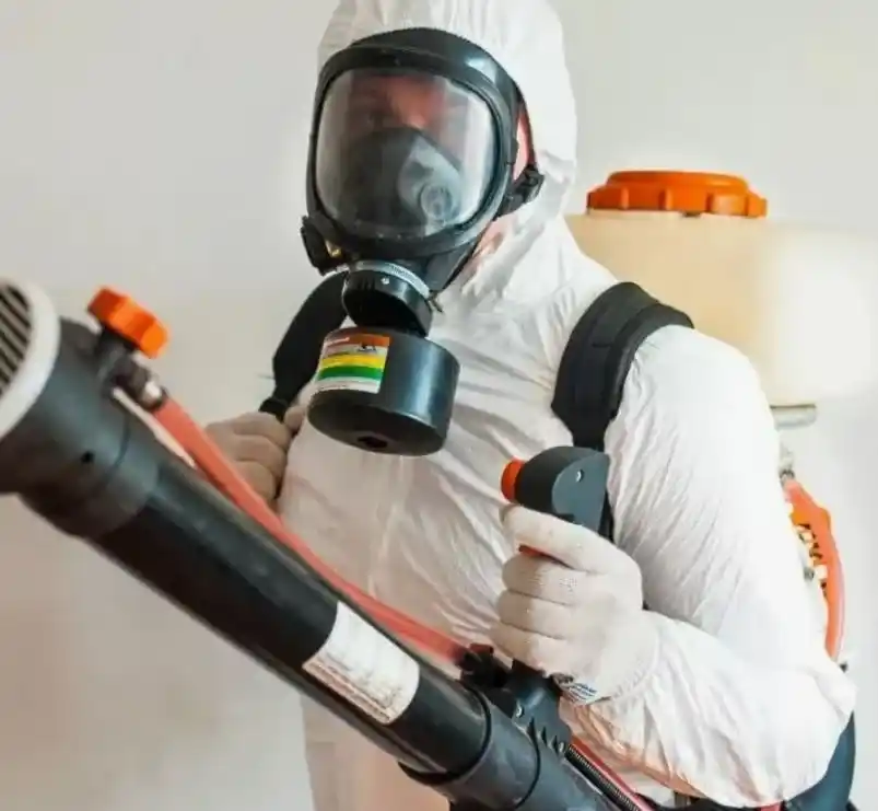 Дезинсекция - обработка от насекомых в Дзержинском и пригороде.